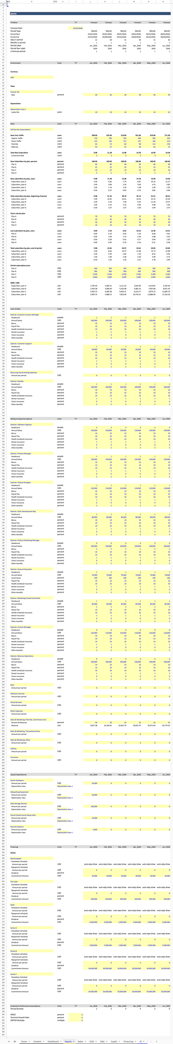SaaS Financial Model Inputs
