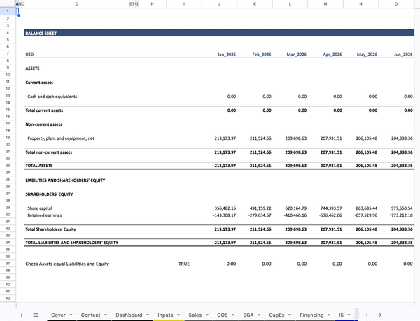 SaaS Financial Model BS